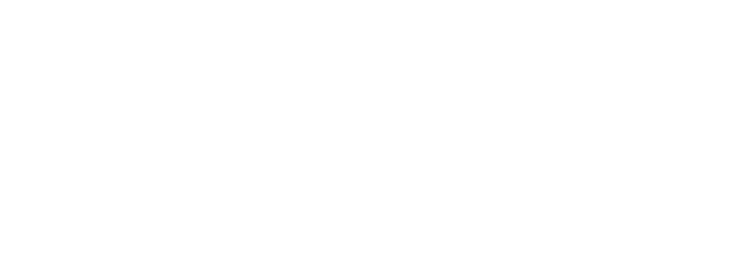 Stone Affects Logo