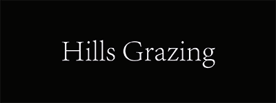 Hills Grazing