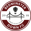 Bedminster Down